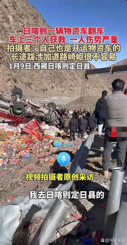 西藏自驾遭两狼夹击