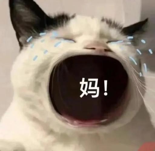 全国大屏都在喊妈