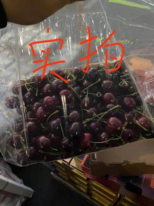 澳门王中王心水王中王和黑车3公里收1800元与跑黑车3元一公里可以吗