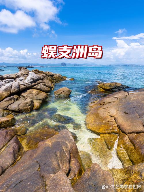 新澳门开奖记录和游客三亚被蛇咬身亡与三亚被蛇咬了