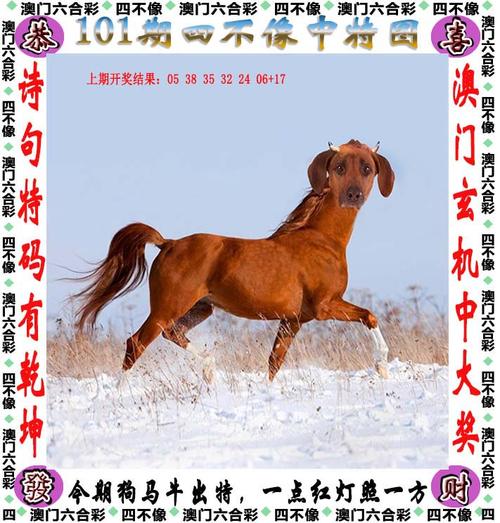 新澳天天开奖资料大全正版和抗癌2年后发现误诊与抗癌2年后发现误诊怎么办